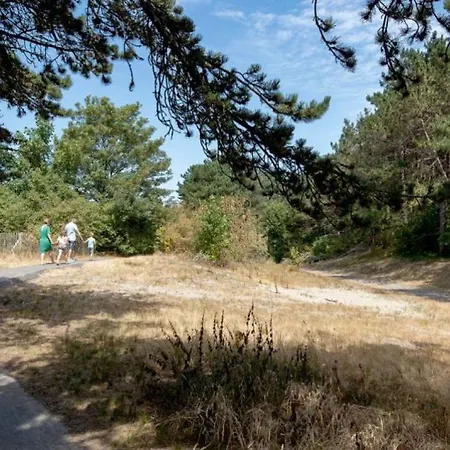 Bois Des Dunes